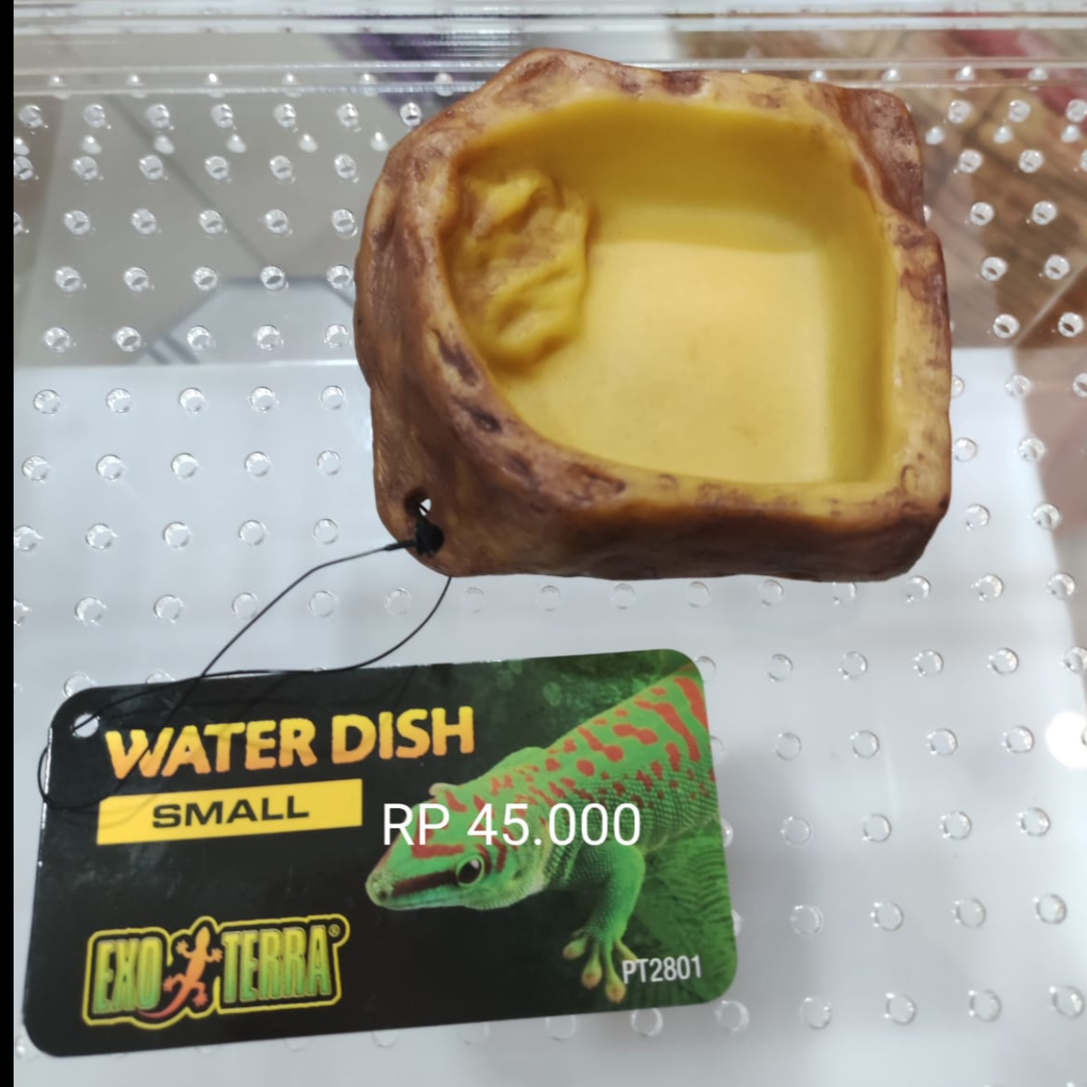 Water Dish Exo Terra Small Reptile